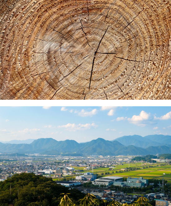 福島県産木材100％使用 写真